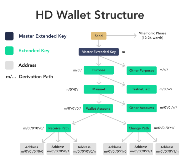 Hierarchical Deterministic Wallets allow users to generate many different accounts and addresses.