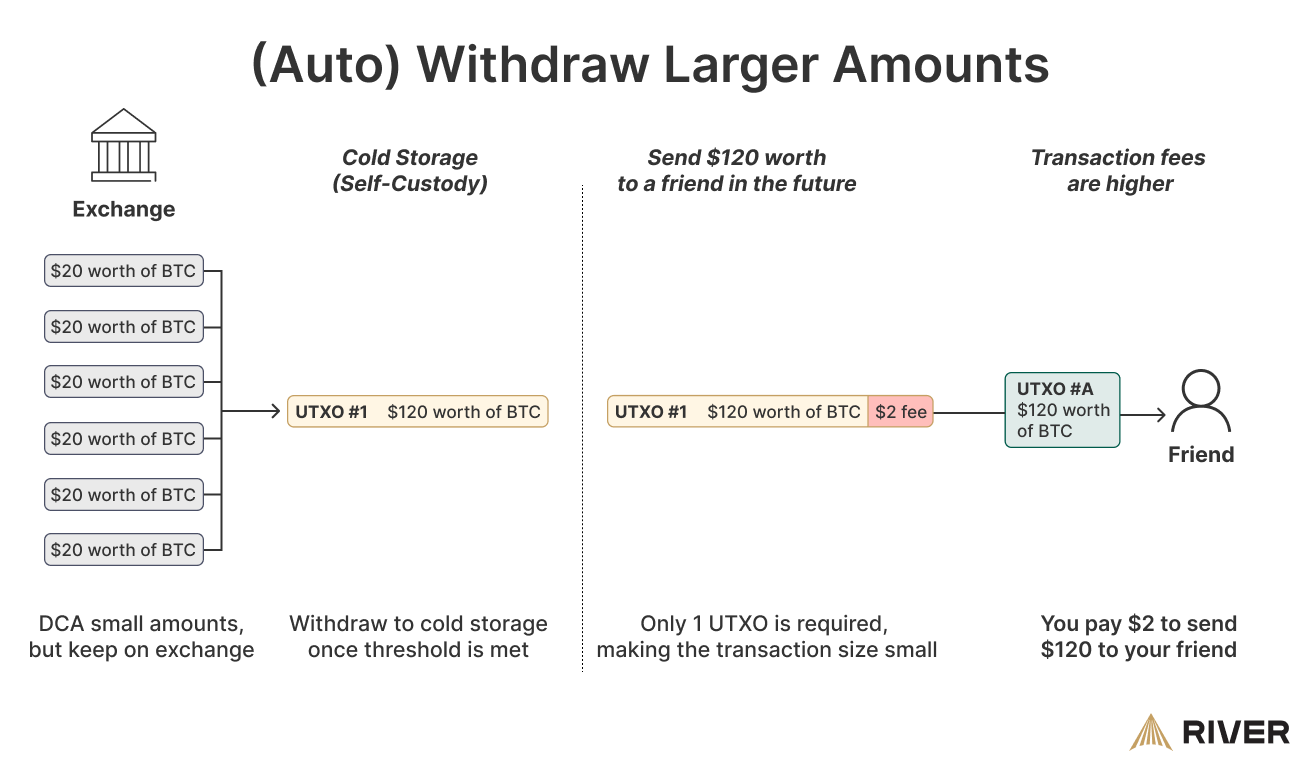 Infographic explaining the benefits of auto-withdrawing larger amounts of bitcoin to reduce UTXOs and transaction fees, illustrated by a comparison between small frequent withdrawals and a single large withdrawal from an exchange to cold storage
