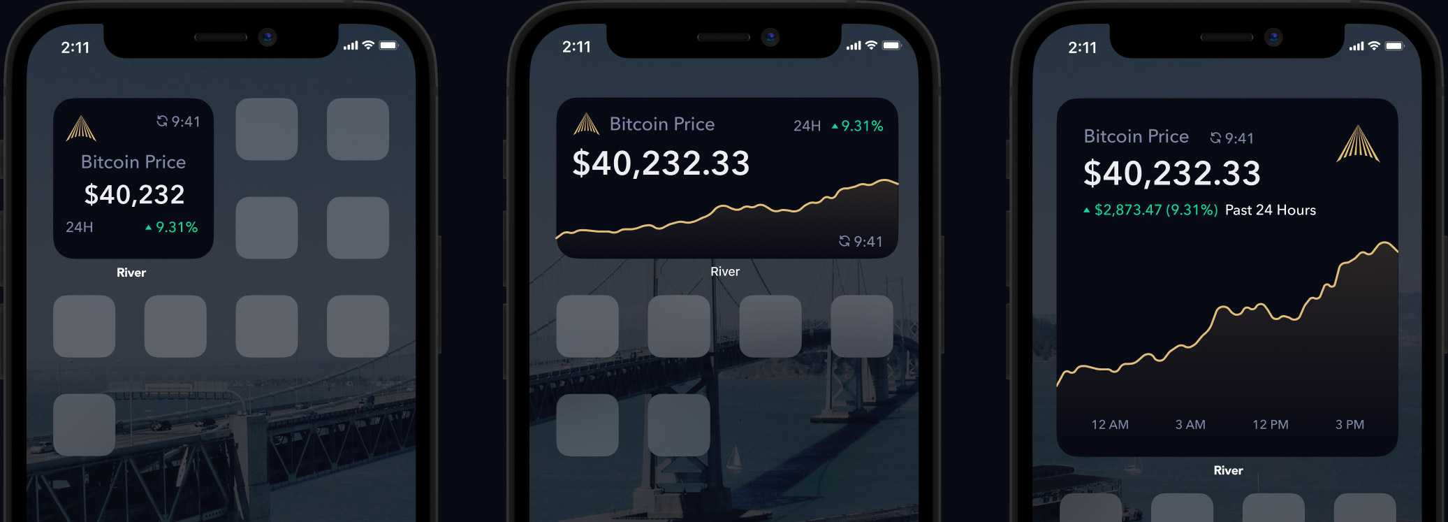 iOS app price widget screen view
