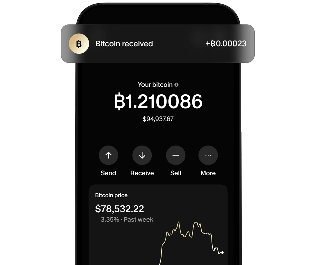 Bitcoin wallet showing balance and transactions