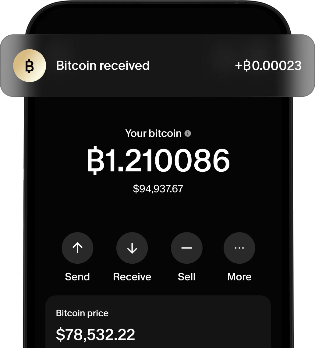 Bitcoin wallet showing balance and transactions