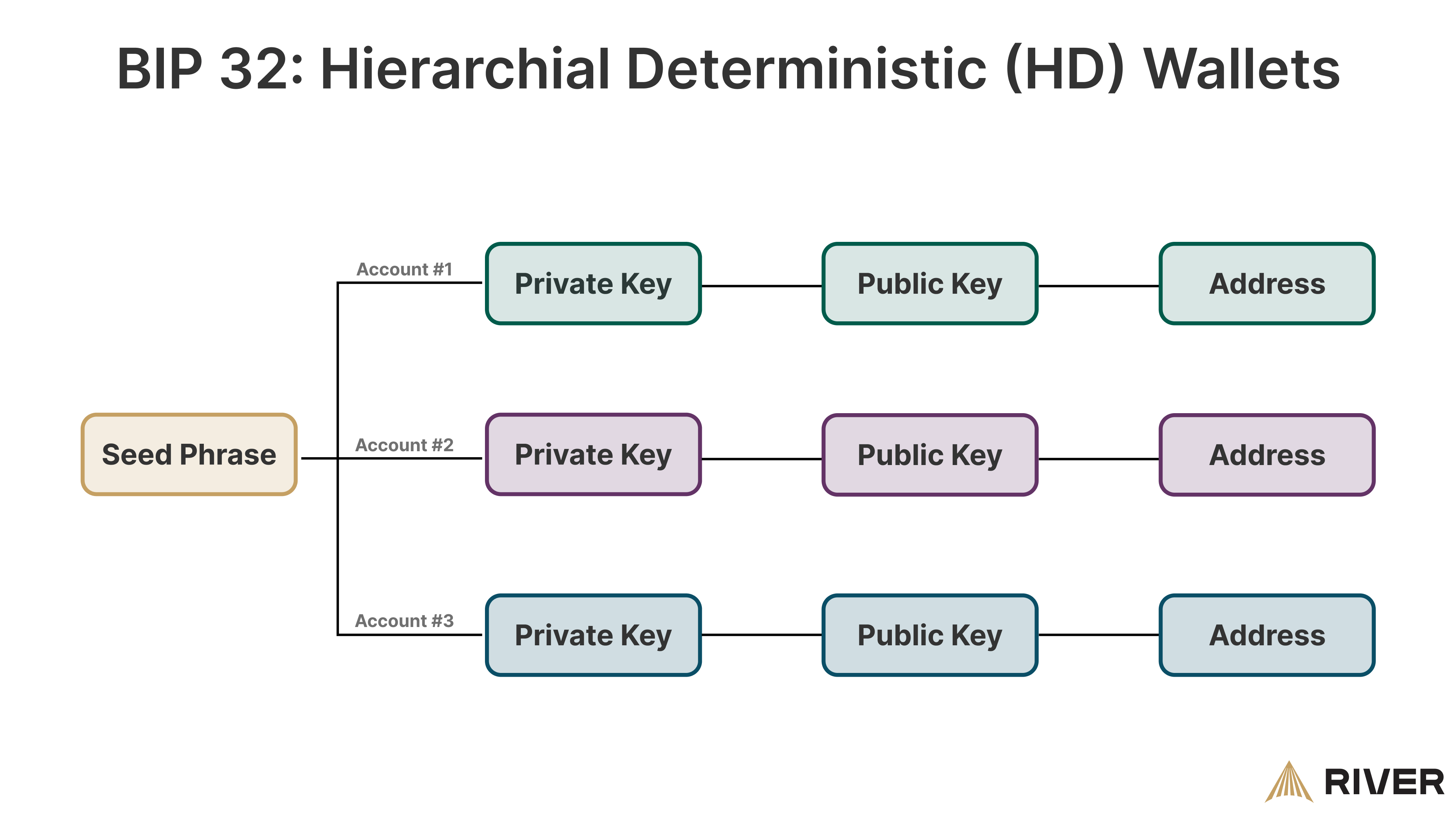 An infographic illustrating the structure of BIP 32 Hierarchical Deterministic (HD) Wallets, showing how a seed phrase gives rise to multiple accounts each with its own private key, public key, and address.