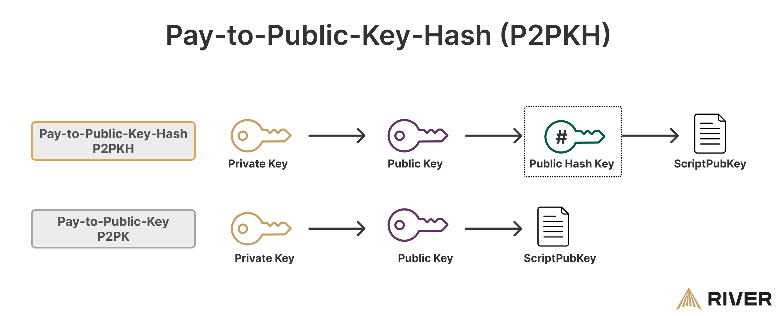 An infographic comparing Pay-to-Public-Key-Hash (P2PKH) and Pay-to-Public-Key (P2PK) processes in cryptocurrency transactions.