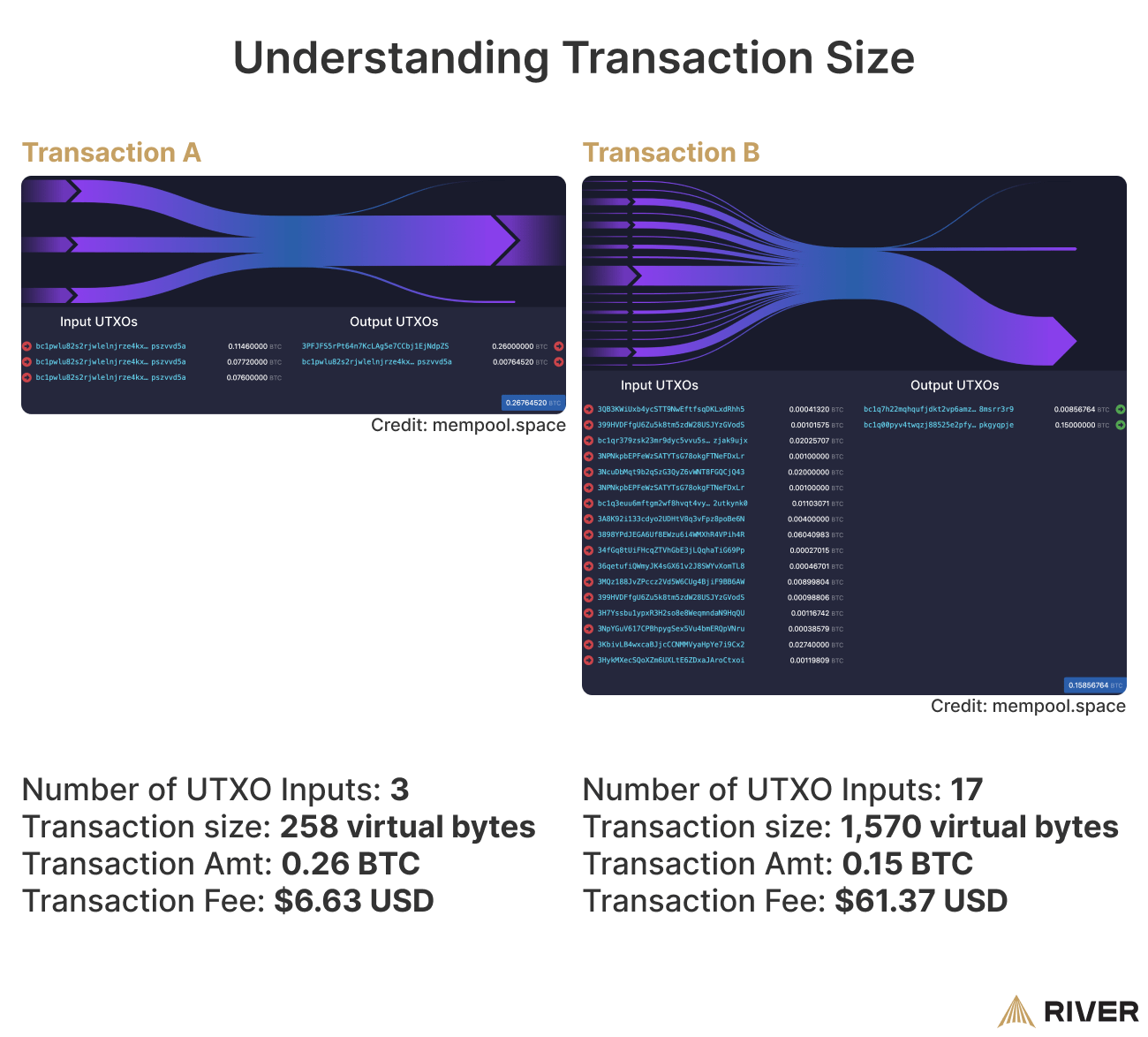 A Comparison of Bitcoin Transactions
