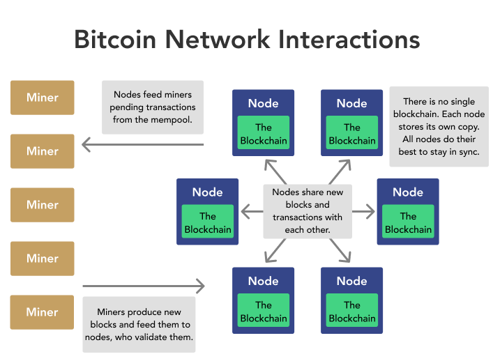 Bitcoin miners work to build the blockchain.