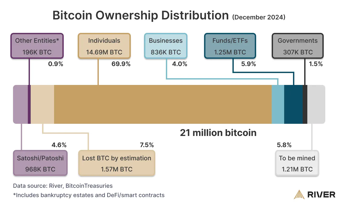 Bitcoin Ownership Distribution: Visualization of Bitcoin’s distribution across individuals, businesses, funds/ETFs, governments, lost coins, and Satoshi’s holdings, illustrating the allocation within the 21 million Bitcoin hard cap.