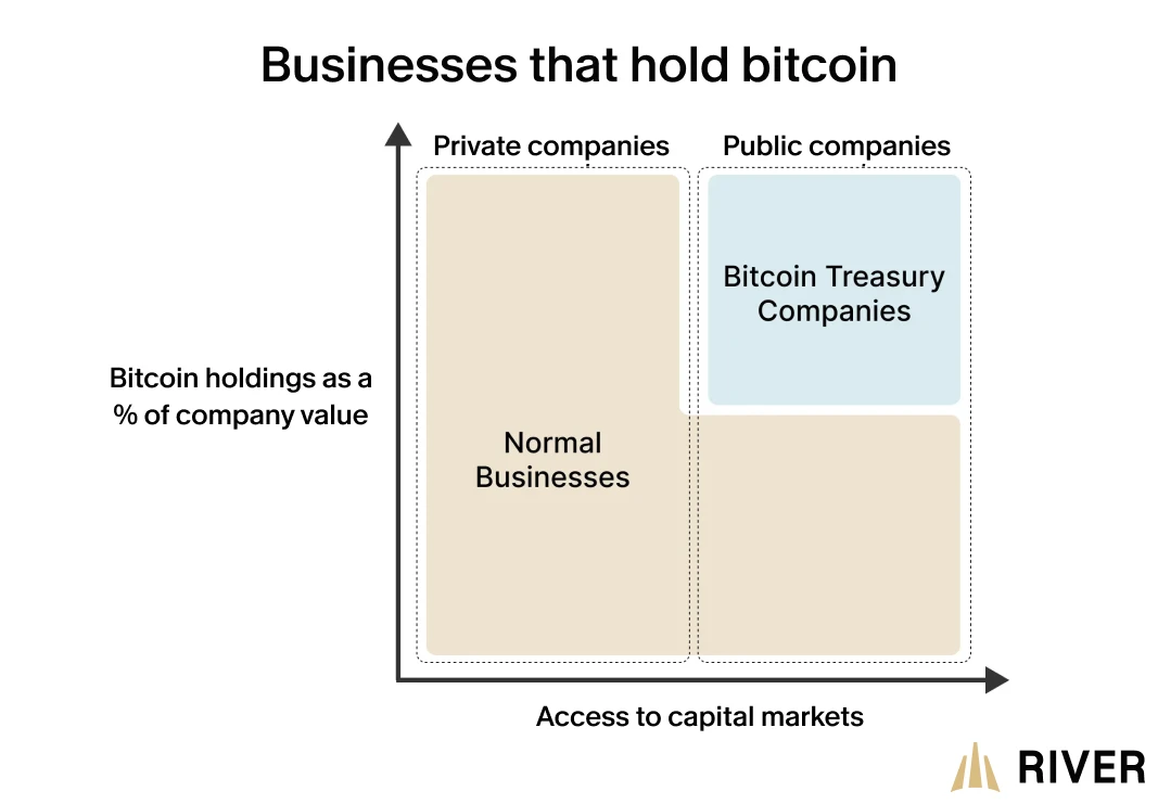A 2x2 quadrant chart comparing private and public companies by bitcoin holdings as a percentage of value and access to capital markets. Bitcoin treasury companies are in the top-right.