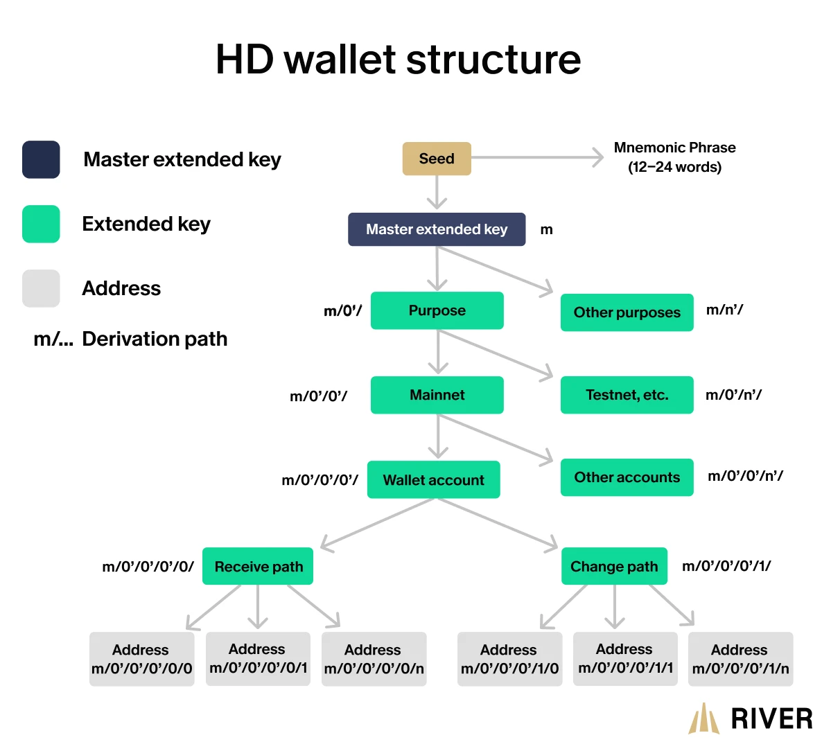 Hierarchical Deterministic Wallets allow users to generate many different accounts and addresses.