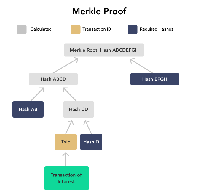 A Merkle Proof with eight leaves only requires three additional hashes to prove the inclusion of a given hash.
