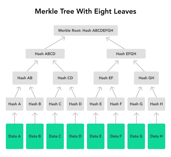 A Merkle Tree with eight leaves.