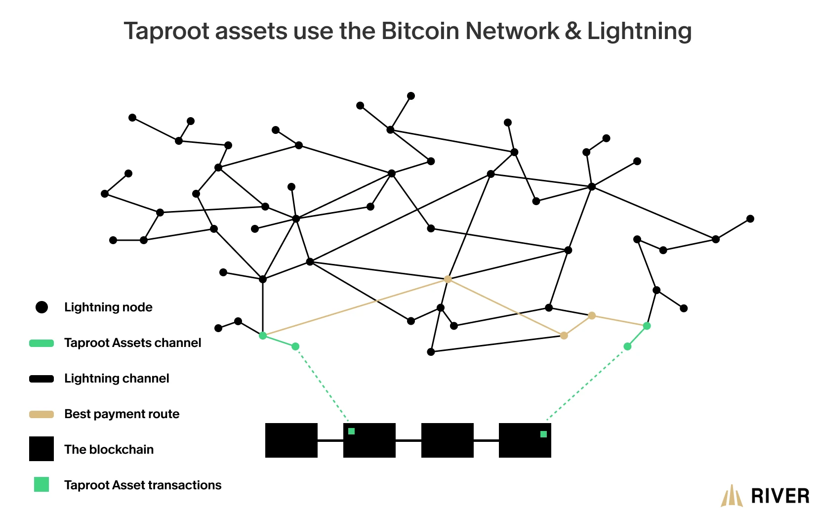 Taproot uses the Bitcoin Network and the Lightning Network