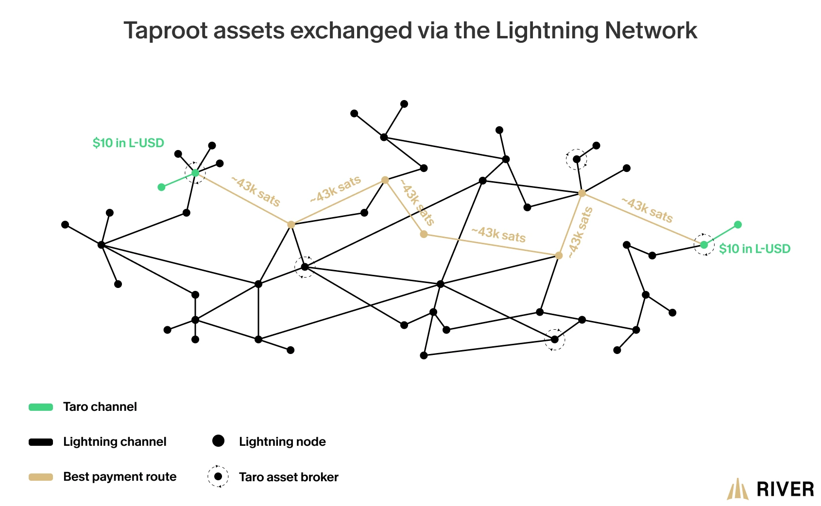 Taproot assets exchanged on the Lightning Network