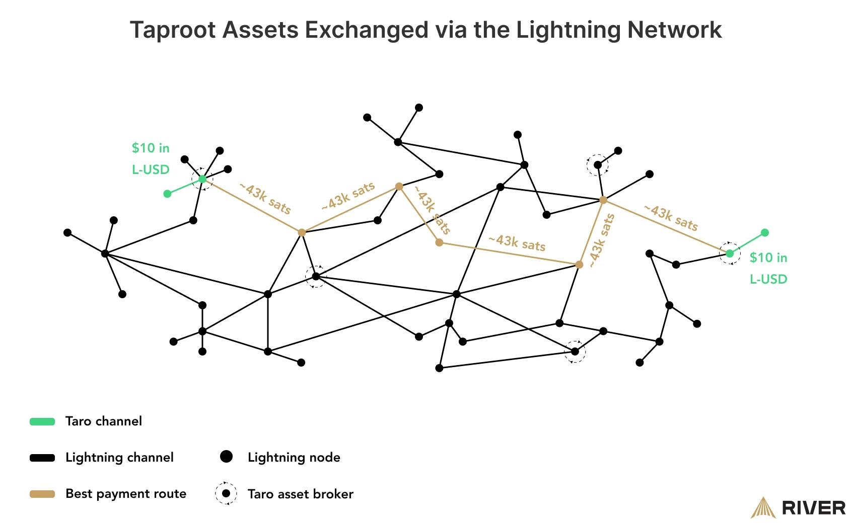 Taproot assets exchanged on the Lightning Network