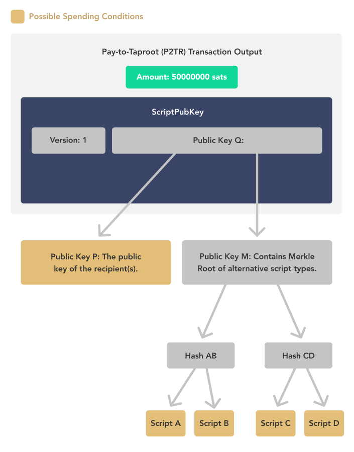 Pay-to-Taproot (P2TR) allows users to send bitcoin to either a public key or multiple scripts of their choosing. This preserves privacy and space on the blockchain.