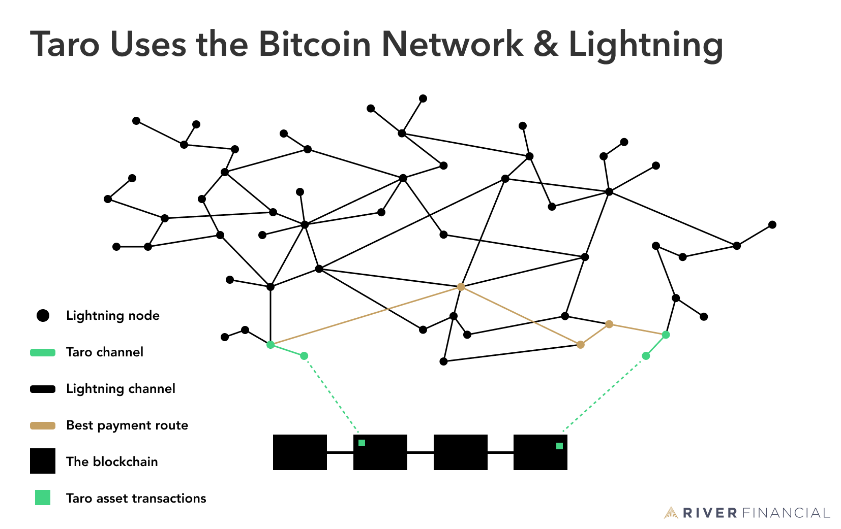 Taro uses the Bitcoin Network and the Lightning Network