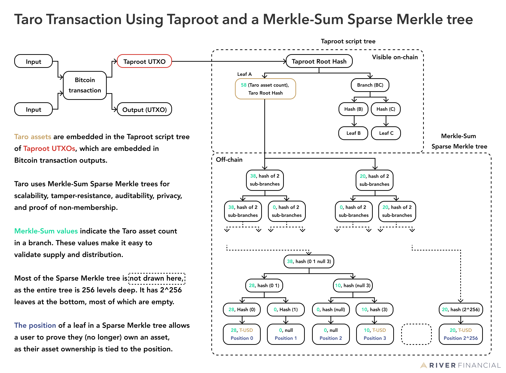 Merkle-Sum Sparse Merkle tree