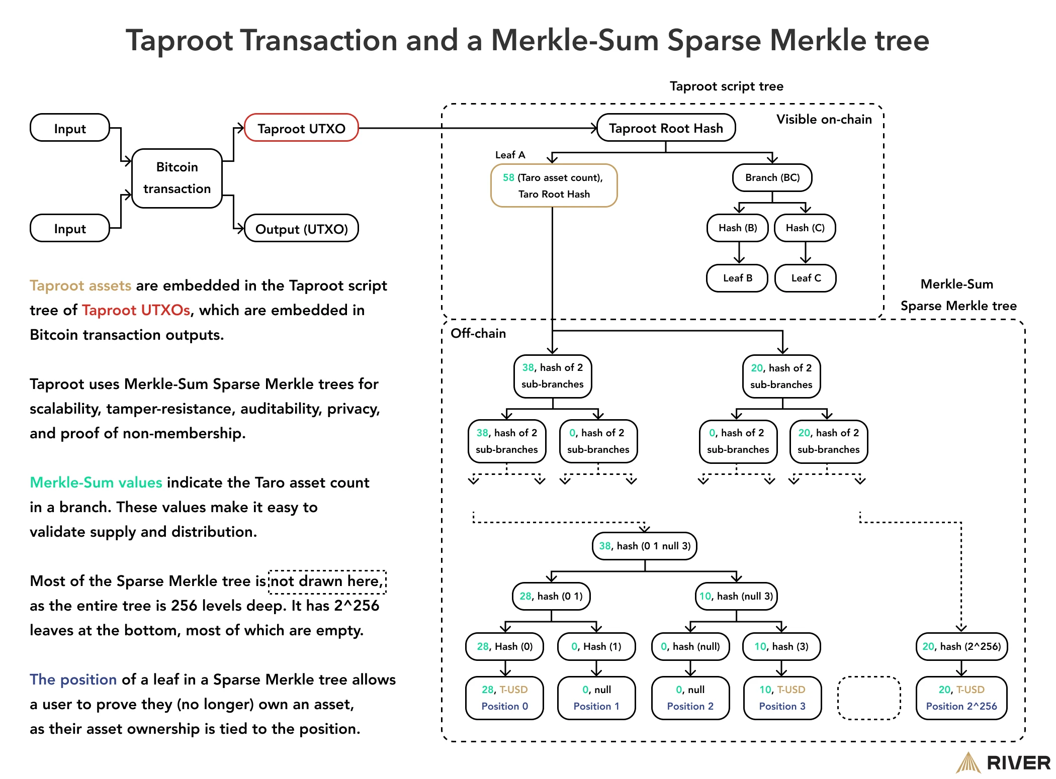 Merkle-Sum Sparse Merkle tree