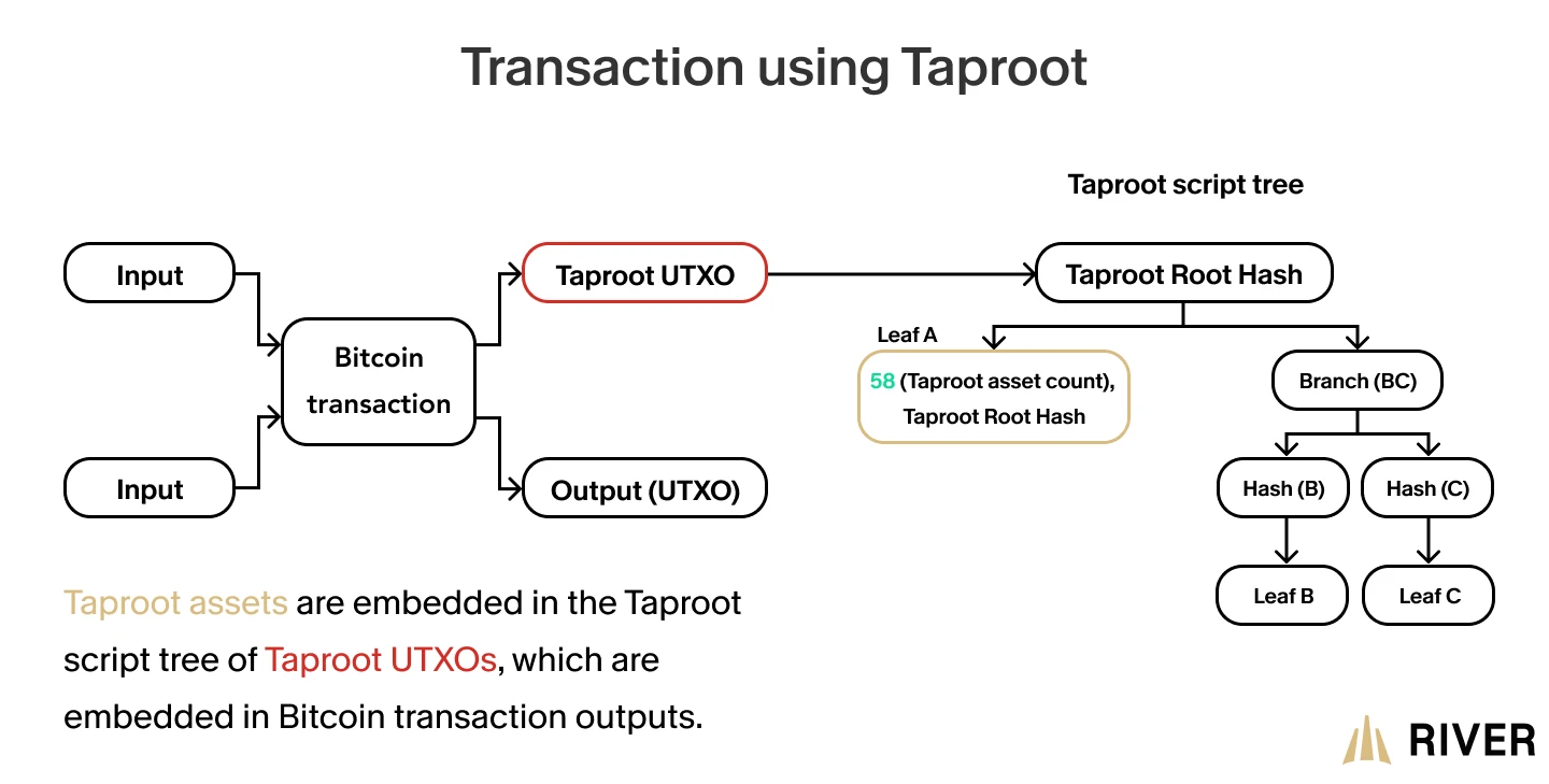Taproot transaction