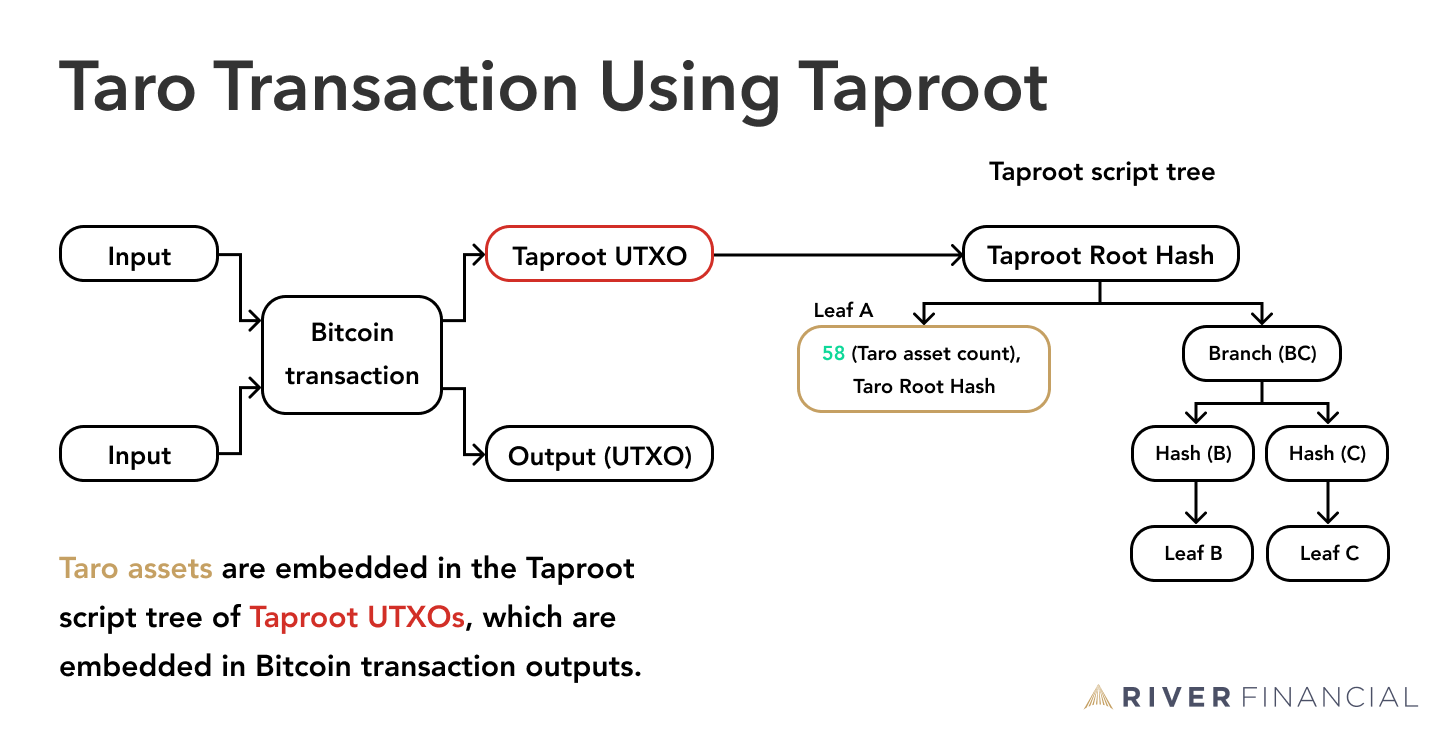 Taro Taproot transaction