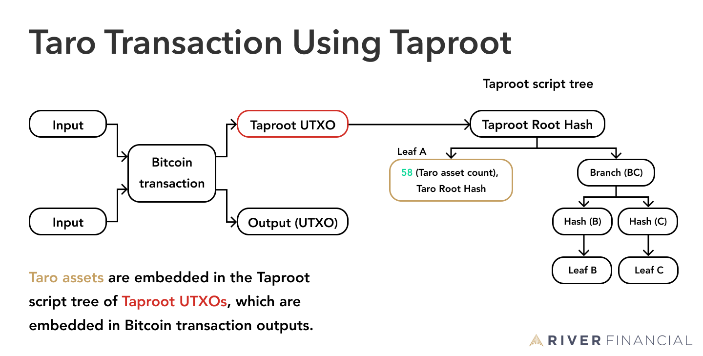 taro bitcoin