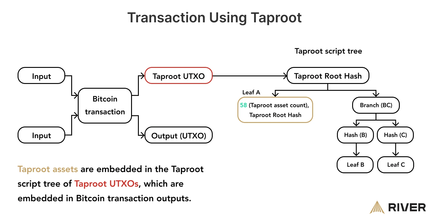 Taproot transaction