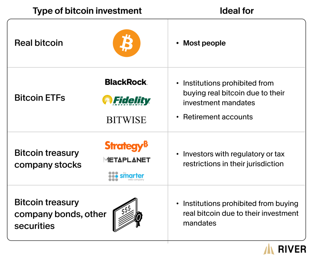 A table outlining four types of bitcoin investments—real bitcoin, ETFs, treasury company stocks, and bonds—along with who they’re ideal for.