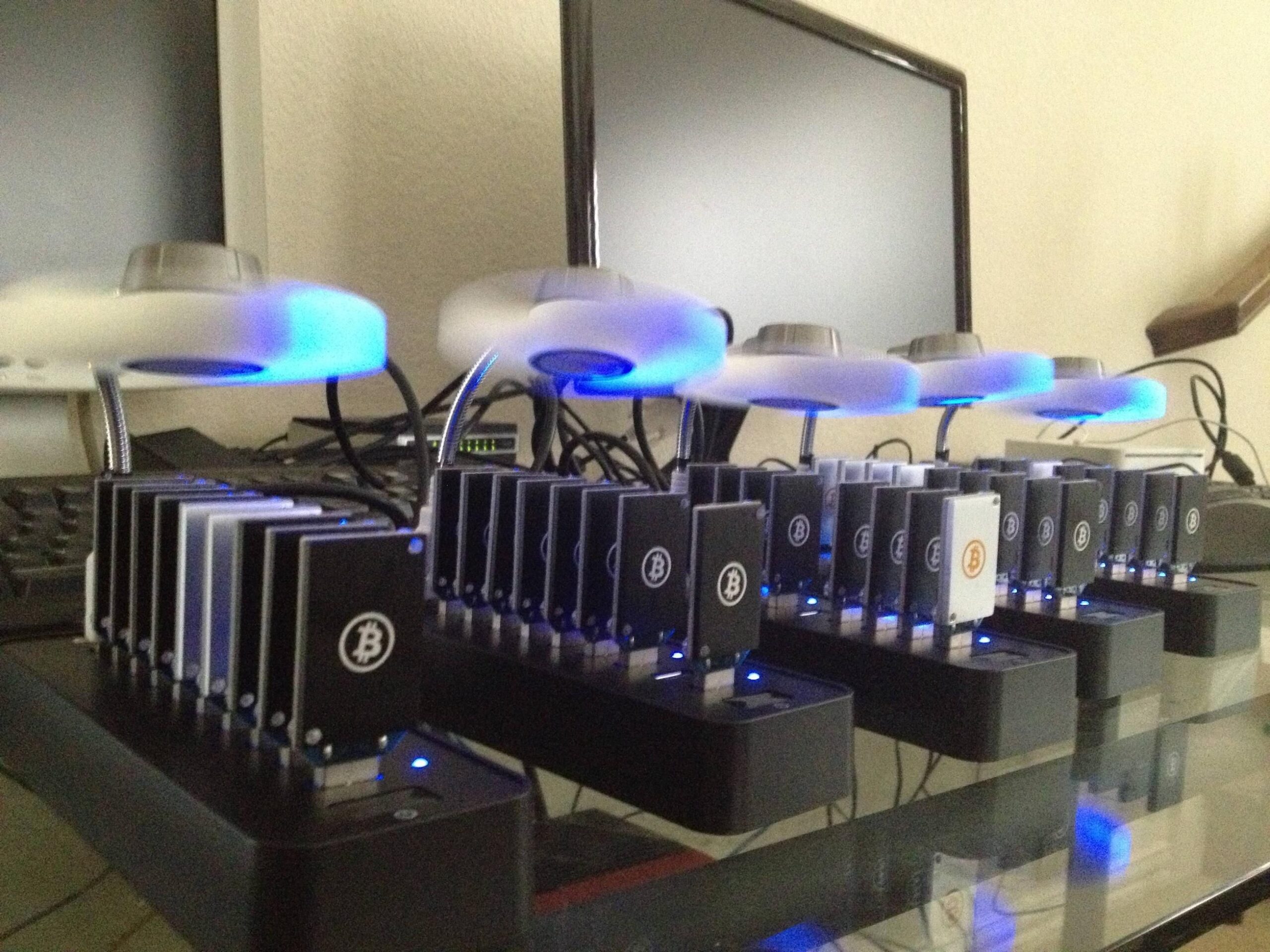 A setup of dozens of USB Bitcoin miners plugged into USB hubs