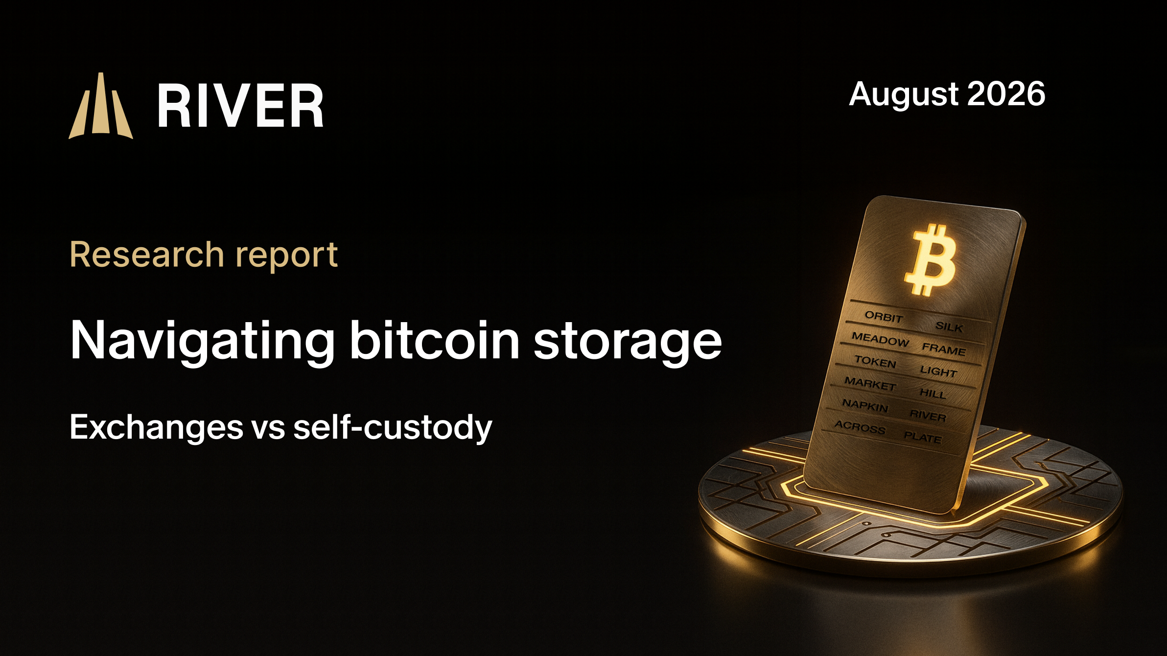 Navigating Bitcoin Storage